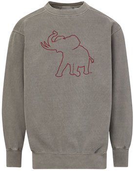 Pachyderm Coastal Color Crew Sweatshirt