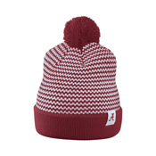 Women's Local DNA Stripe Beanie